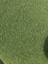 WHOLE ROLLS ONLY Water Based Used Sports Astroturf PLEASE READ DESCRIPTION