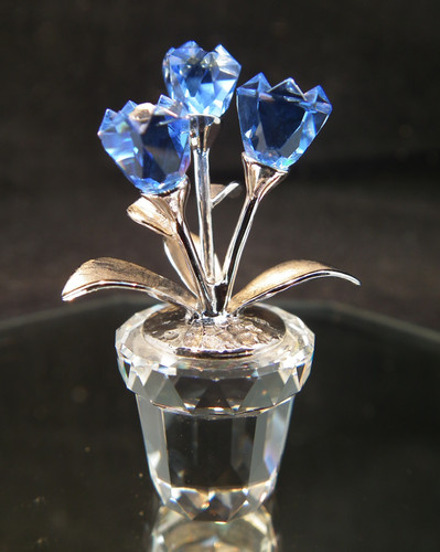 Swarovski crystal memories - crystal, –