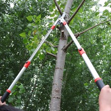 Extendable Telescopic Tree
