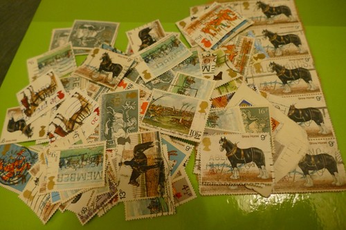 Horses animals thematic - 80,