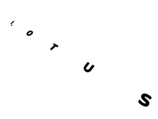 Genuine Lotus Eletre BLACK