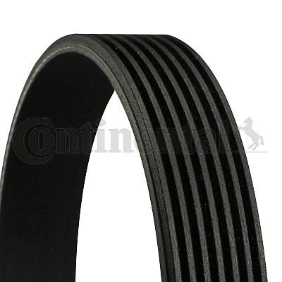 Ribbed belt continental ctam - belt,