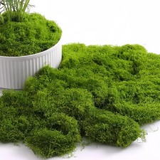 16OZ Artificial Moss for