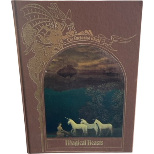 The enchanted world - world, magical