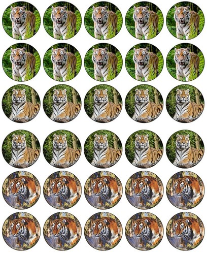 Tiger cupcake toppers edible - tiger,