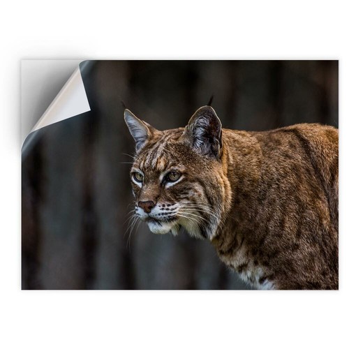 Vinyl sticker bobcat - 1, a4