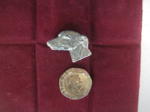 Greyhound whippet head - greyhound/whippet,