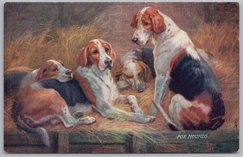 Fox hounds the - fox, friend