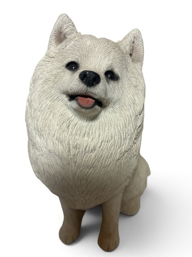 Sandicast american eskimo - sandicast,
