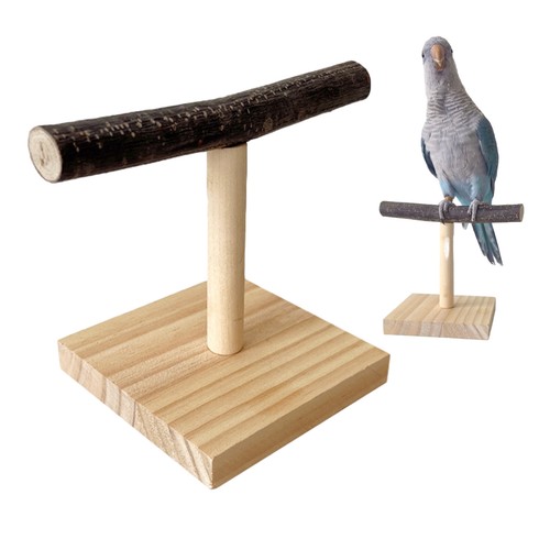 Parrot stand tabletop - parrot,