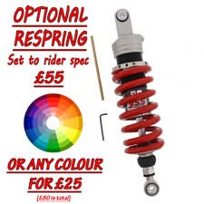 Triumph Daytona T 595 1000