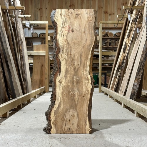Pippy oak board plank waney - oak,