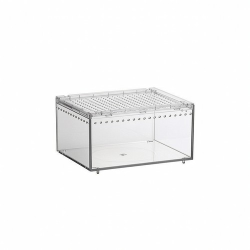 Invertebrate terrarium - invertebrate,