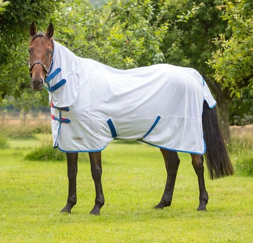 Shires tempest original fly - tempest,