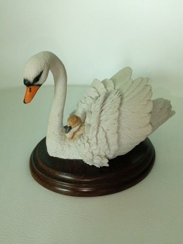 Country artists swan cygnet - artists, &