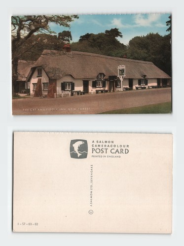 Vintage postcard the cat - vintage,