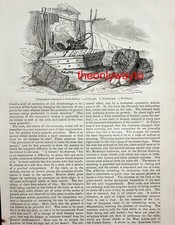 British Crab Fishing, Crab