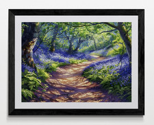 Bluebell Woodland Forest