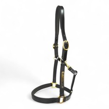 Headcollar - English Leather -