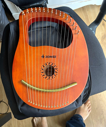 Donner dls string lyre - donner, 10-string