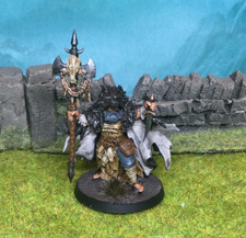 Painted Barbarian Wolf Priest Miniature - For Dnd or Fantasy RPG 00025