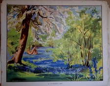 Poppies & Bluebells by Eileen