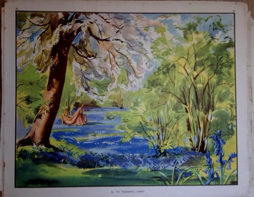 Poppies bluebells by - poppies,