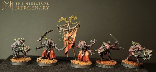 Pro painted acolyte - pro,