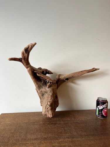 Driftwood piece golden - driftwood,