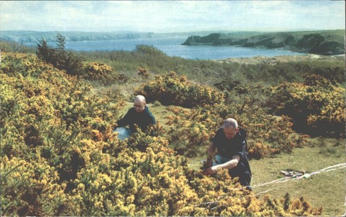1963 caldey island - island, wales