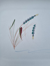 Denby Greenwheat - 34.5 cm