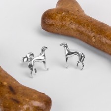 Greyhound whippet dog stud - greyhound,