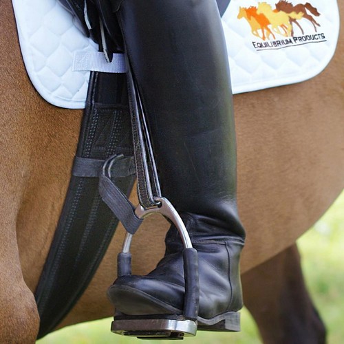 Equilibrium horse riding - horse,