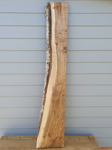Wn0047 english walnut - walnut, timber