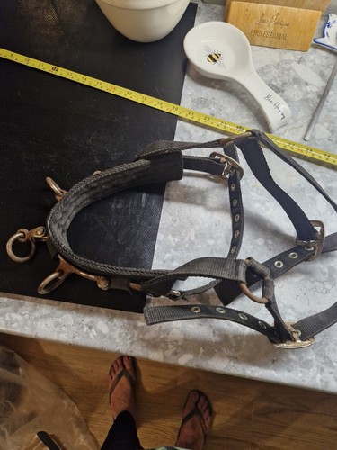 Black cavesson lunging aid for - cavesson,