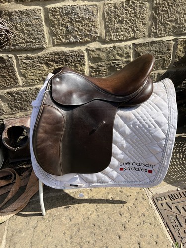 Brown collegiate gp - 16.5’’,