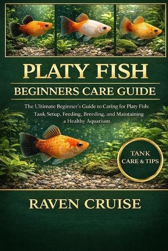 Platy fish beginners care - platy,