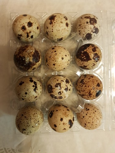 Quail eggs - eggs, eggs)