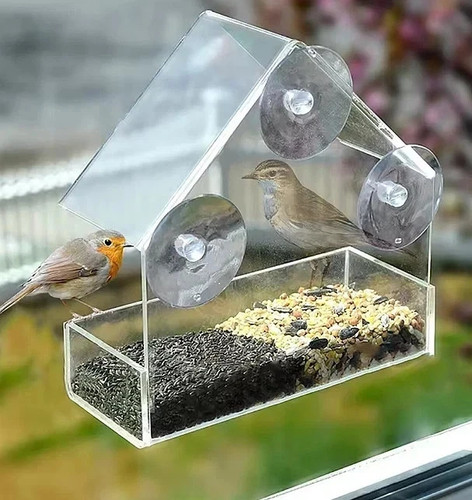 Transparent window feeder - transparent,