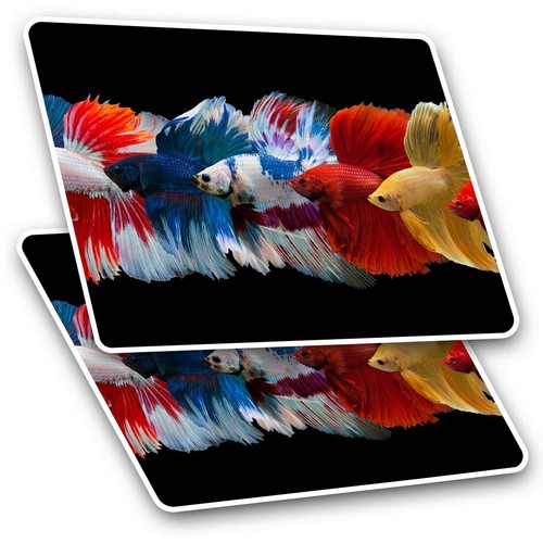 Rectangle stickers cm - 10,