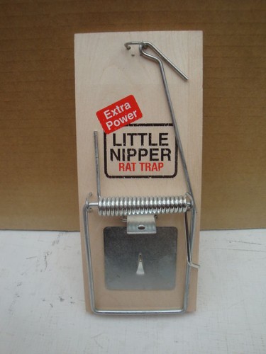 Traditional little nipper - traditional, rat