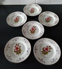Set of 6 Vintage 70s Floral Side Plates by Barratts of Staffordshire