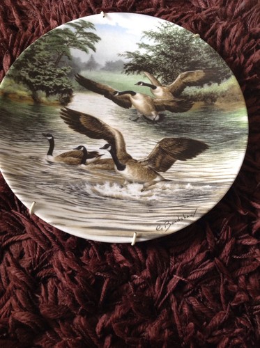 Royal worcester quiet waters - quiet,