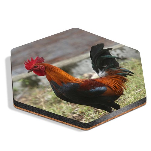 Hexagon mdf coaster rhode - hexagon,