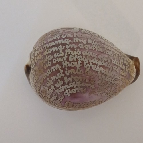 Cowrie shell engraved with the - shell,