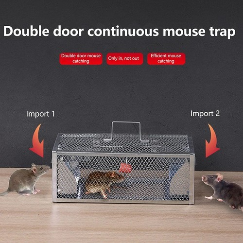 Rat trap squirrel - squirrel, mouse