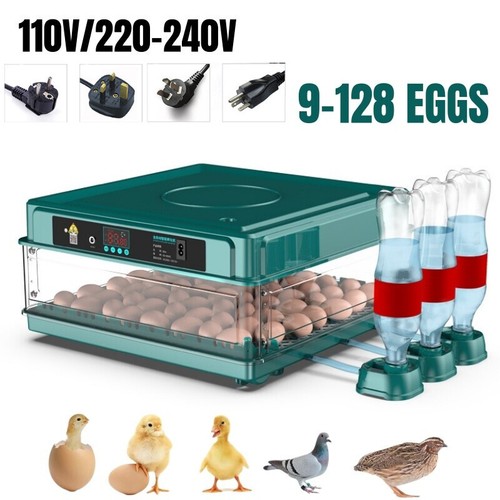 128 eggs automatic egg - 9-128,