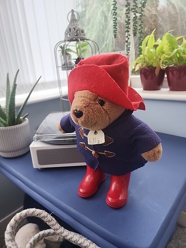 Eden paddington bear 1996 - eden, bear,