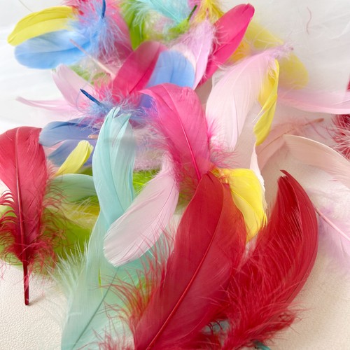 Colour loose feathers goose - loose,