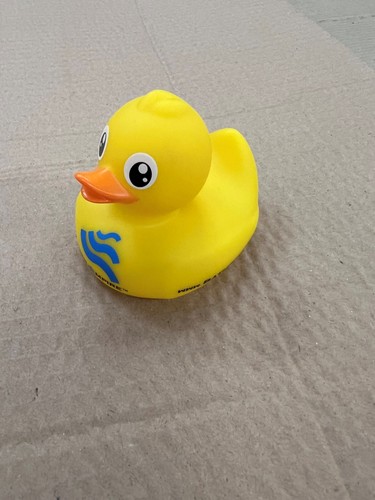 Yellow rubber ducks duck - yellow, ducks,